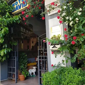 David - Ethno Style Hotel Tbilisi